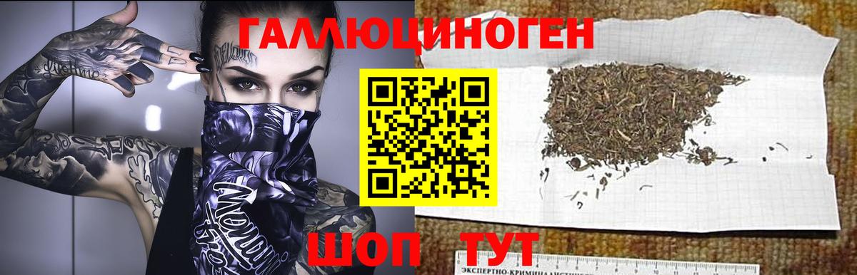продажа наркотиков  Вход с VPN  Ростов Великий  Псилоцибиновые грибы MAGIC MUSHROOMS 